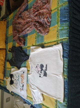 Lote Ropa Mujer Talla XS