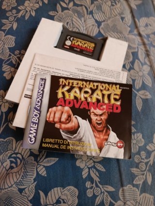 Juego Game Boy Advance International Karate
