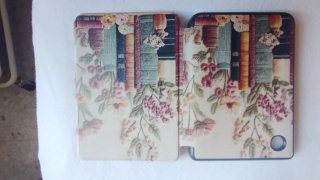Cover Kobo Clara Colour (2024) Fiori