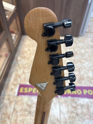 Guitarra Electrica Dakota Negra