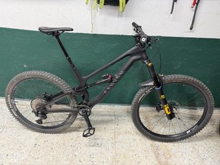Canyon Torque Mullet