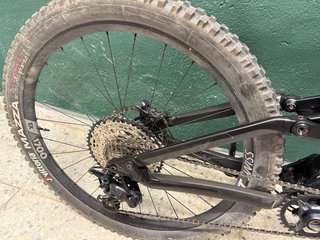 Canyon Torque Mullet