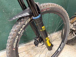 Canyon Torque Mullet
