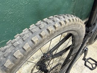 Canyon Torque Mullet