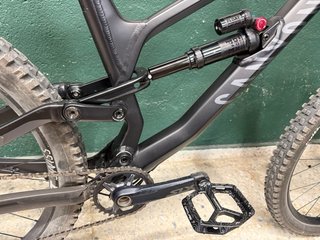 Canyon Torque Mullet