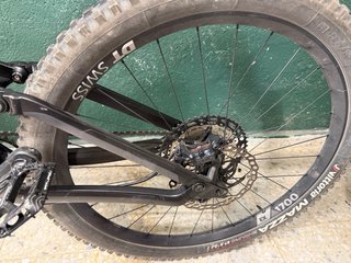 Canyon Torque Mullet
