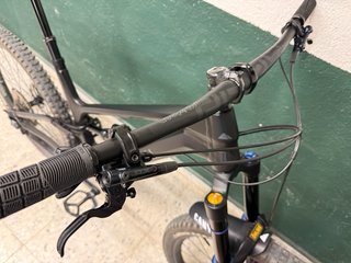 Canyon Torque Mullet