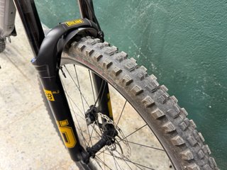 Canyon Torque Mullet