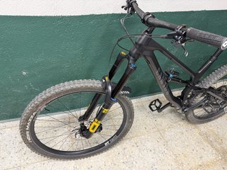 Canyon Torque Mullet