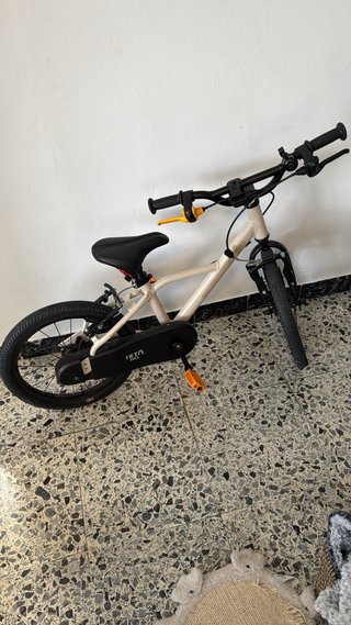 Bicicleta Infantil