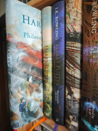 Lote 5 libros ilustrados Harry Potter inglés.