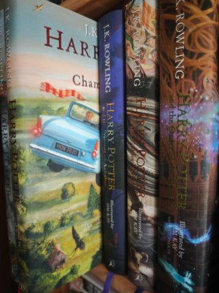 Lote 5 libros ilustrados Harry Potter inglés.