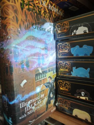 Lote 5 libros ilustrados Harry Potter inglés.