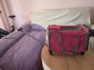 Transportín para Perro Rosa