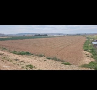 Finca rústica cultivable