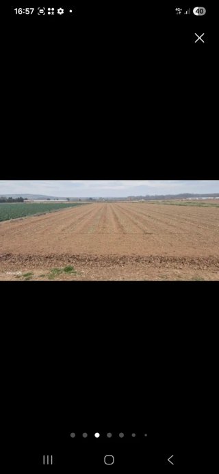 Finca rústica cultivable