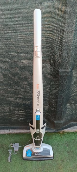 Escoba aspirador Electrolux Animal Care