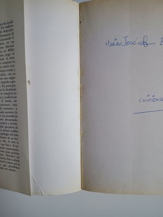 Miedo a volar, novela de Erica Jong