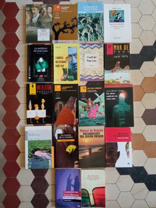 P12 llibres en valencià y catalá II