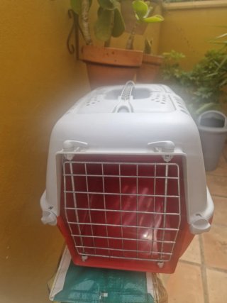 Transportín Gatos Mediano Rojo y Blanco