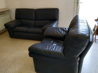 Sofá doble y sillón individual de piel