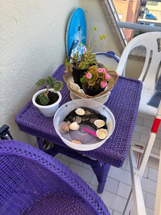 Juego de 2 sillas y mesa de mimbre morado