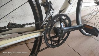 Bici Carrera Carbono Muscolare