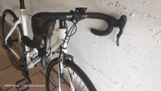 Bici Carrera Carbono Muscolare