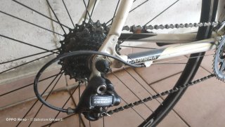 Bici Carrera Carbono Muscolare