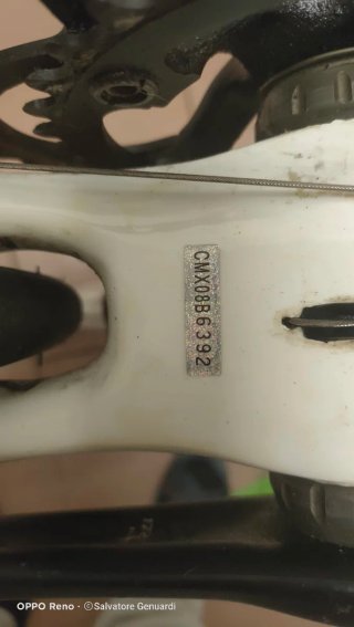 Bici Carrera Carbono Muscolare
