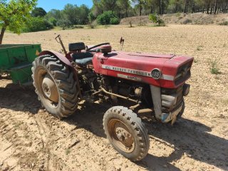 Tractor Massey Ferguson 135