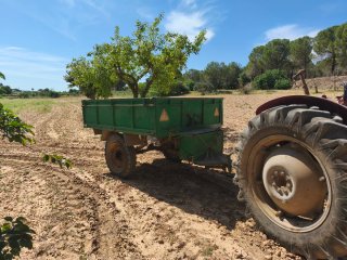 Tractor Massey Ferguson 135