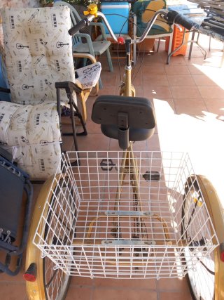 Triciclo Dorado con Cesta