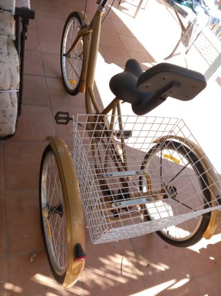 Triciclo Dorado con Cesta