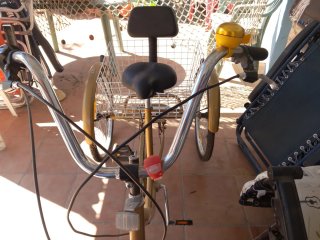 Triciclo Dorado con Cesta