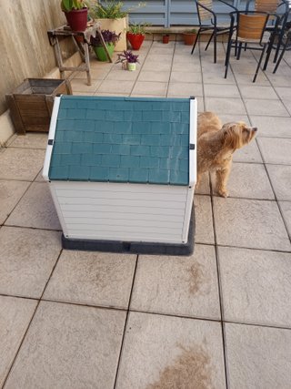 Caseta para perro