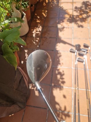 Bolsa de golf con palos y pelotas