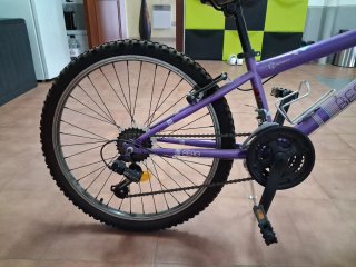 Bicicleta niña Berg Sierra 240
