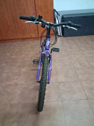 Bicicleta niña Berg Sierra 240