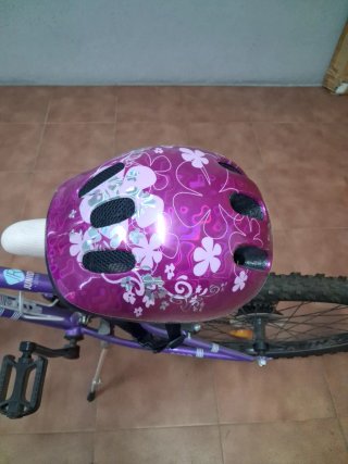 Bicicleta niña Berg Sierra 240