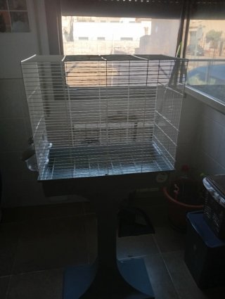 Jaula para pájaros con soporte