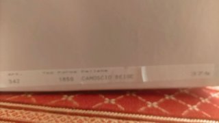 Scarpe Chantal camoscio Beige tg 37