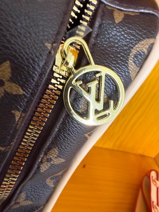 Bolso Louis Vuitton Marrón 26x15x7cm