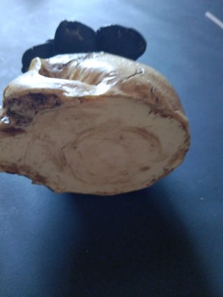 Quemador gótico incienso calavera flor negra