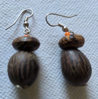 Pendientes varios: Aros, colgantes y más