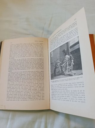Libro razas 1963