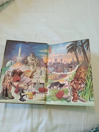 Libro razas 1963