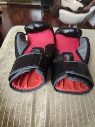 Guantes Everlast Muay Thai 12oz