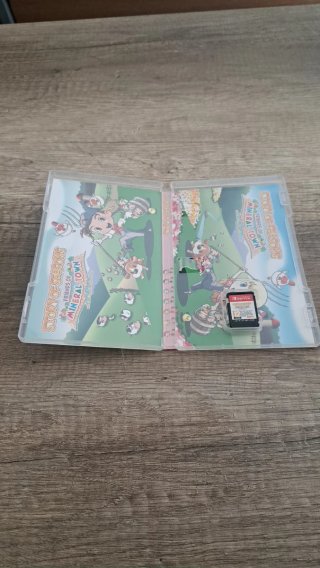 Story of Seasons: Friends of Mineral Town Switch
