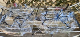 Telo antipioggia Bugaboo per 2 passeggini